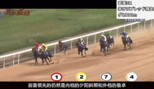 中国競馬ついに始まる、馬券解禁、年2万頭生産、現役競走馬10万頭